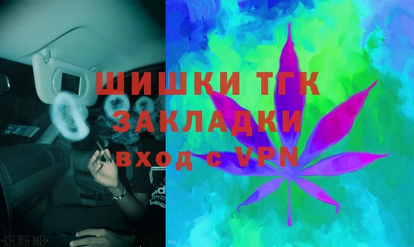 твердый Богородицк