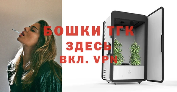твердый Богородицк