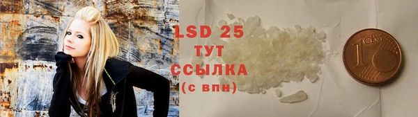 прущие грибы Белоозёрский