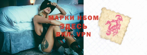 сатива Беломорск