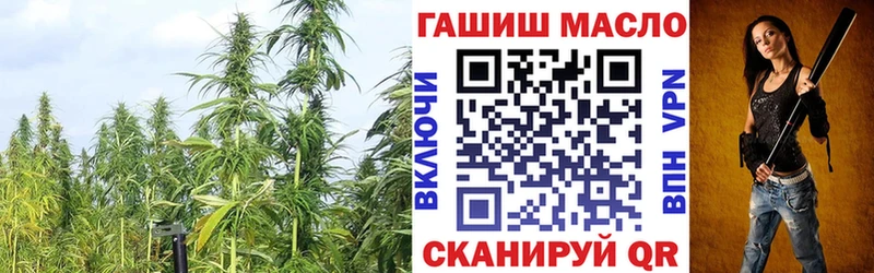 Дистиллят ТГК THC oil  цены наркотик  Майкоп 